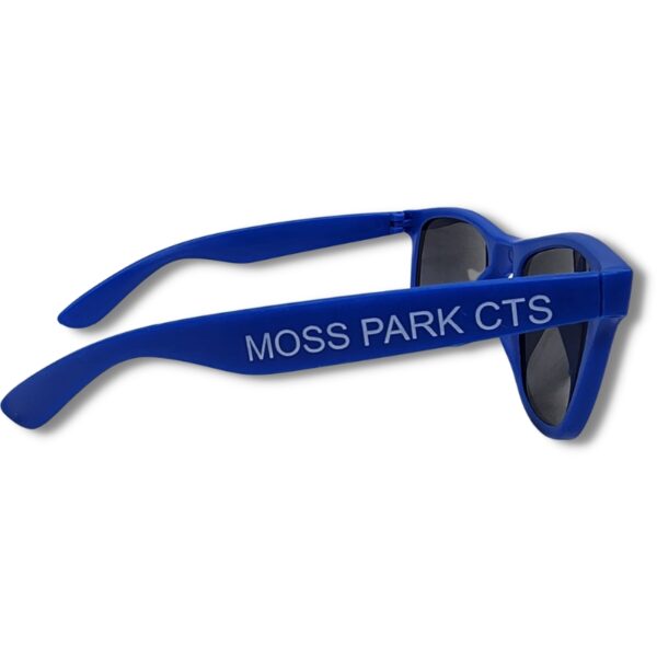 Custom Solid Colour Shades - Image 6