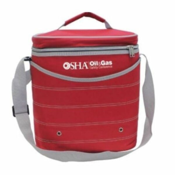 Custom Zebra Cooler