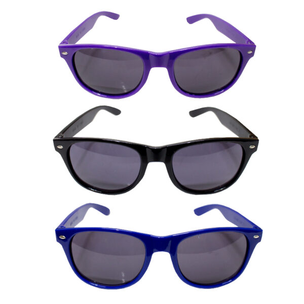 Custom Sandy Banks Sunglasses - Image 9