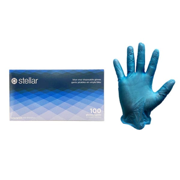 Wholesale Blue Vinyl Disposable Gloves – Large - 1000 Pack