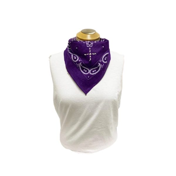 Wholesale Paisely Bandanas with Jewel - Image 3