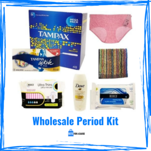 Wholesale Period Kit