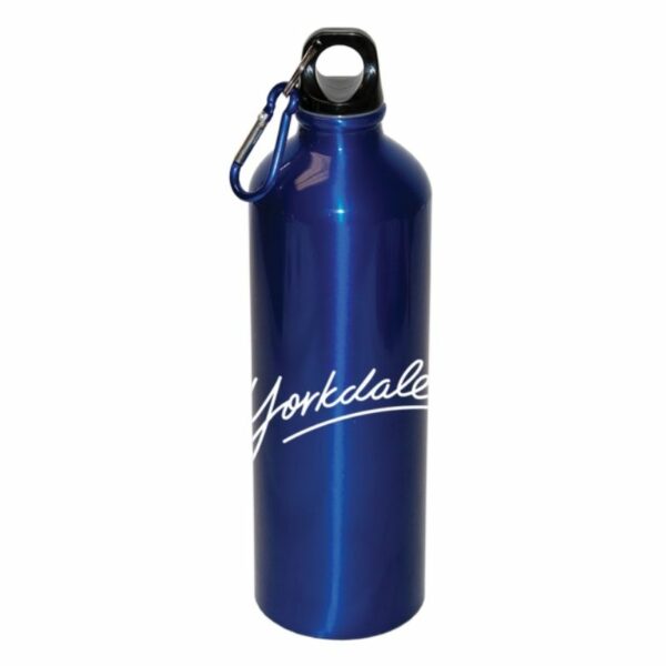 Custom  Aluminum Water Bottle With Carabiner 750 ML - Image 4