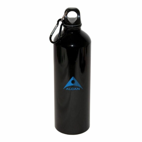 Custom  Aluminum Water Bottle With Carabiner 750 ML