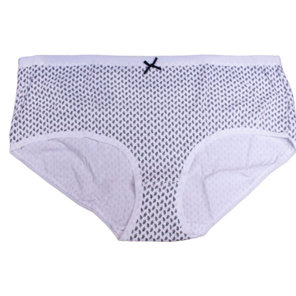Wholesale Ladies’ Plus-size Underwear Asst. Prints, 2-Pack (Size: 2XL) ($2.50 Each) - Image 5