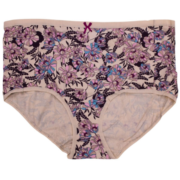 Wholesale Ladies’ Plus-size Underwear Asst. Prints, 2-Pack (Size: 2XL) ($2.50 Each) - Image 6