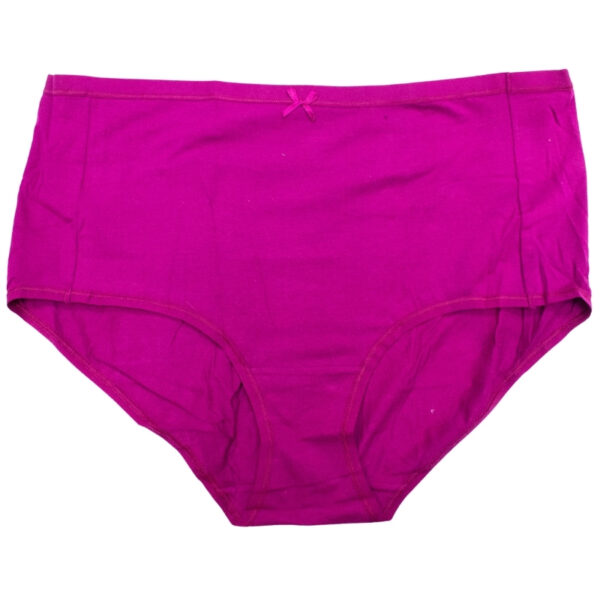 Wholesale Ladies’ Plus-size Underwear Asst. Prints, 2-Pack (Size: 2XL) ($2.50 Each) - Image 7