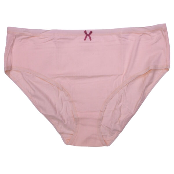 Wholesale Ladies’ Plus-size Underwear Asst. Prints, 2-Pack (Size: 2XL) ($2.50 Each) - Image 2