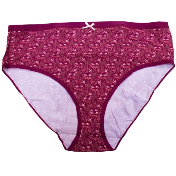 Wholesale Ladies’ Plus-size Underwear Asst. Prints, 2-Pack (Size: 2XL) ($2.50 Each) - Image 3