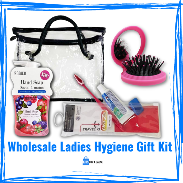 Wholesale Ladies Hygiene Kit