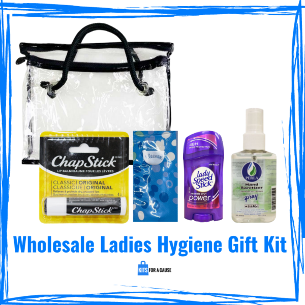 Wholesale Ladies Hygiene Kit