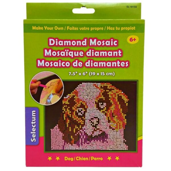 Wholesale Selectum Diamond Mosaic Craft Kit - Asst. Themes - Image 7