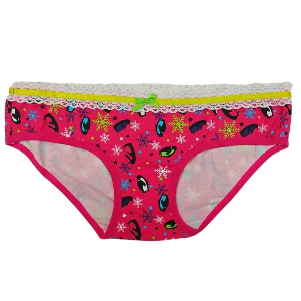 Wholesale Ladies’ Asst Underwear (Size: X-Large) - Image 9