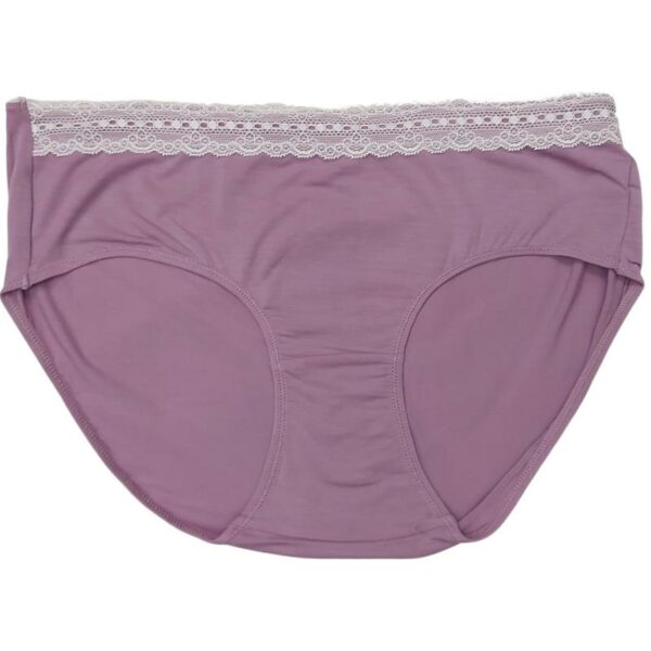 Wholesale Ladies’ Hipster Brief Asst. Colours and Styles (Size: X-Large) - Image 5