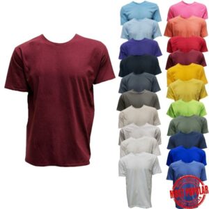 Wholesale Adult Soft-Style Cotton T-shirt - Asst Colours (Size Large) BS