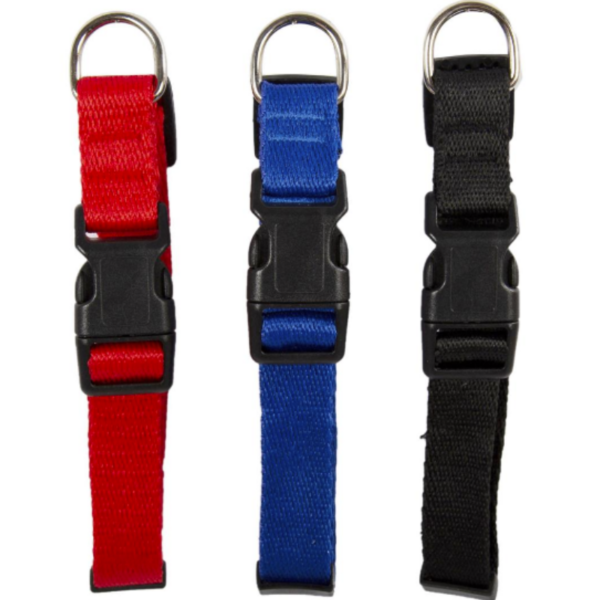 Wholesale Dog Nylon Collar - Asst. Colours - Image 4