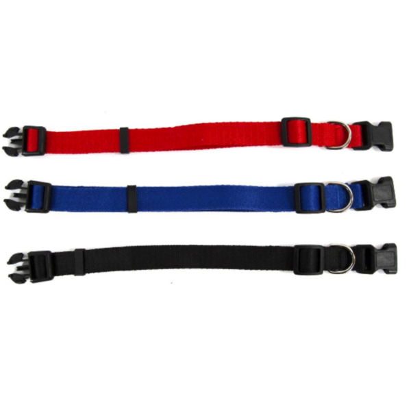Wholesale Dog Nylon Collar - Asst. Colours - Image 5