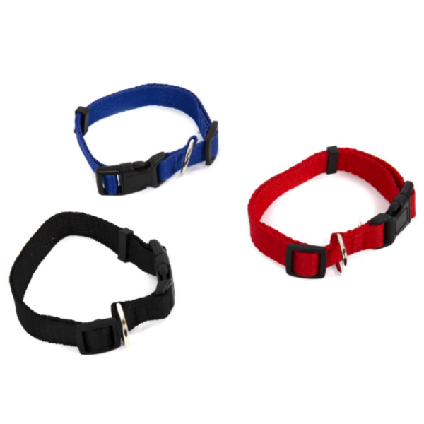 Wholesale Dog Nylon Collar - Asst. Colours - Image 2