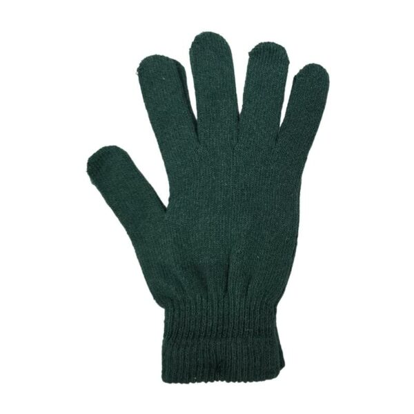 Wholesale Adult Gloves - Asst Colours - Image 3