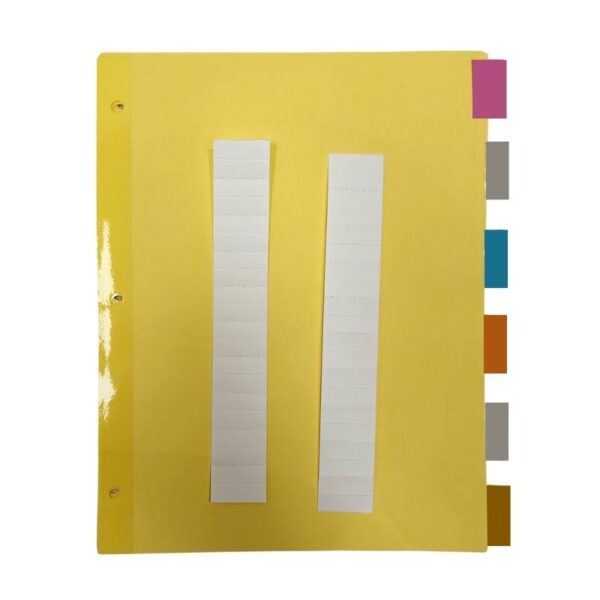 Wholesale Coloured Tab Divider, 6-Pack ($0.75 Each) - Image 3