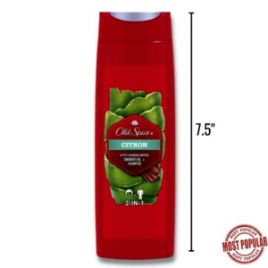 Wholesale Brand Name Old Spice 2-n-1 Shower Gel & Shampoo (250 ml)