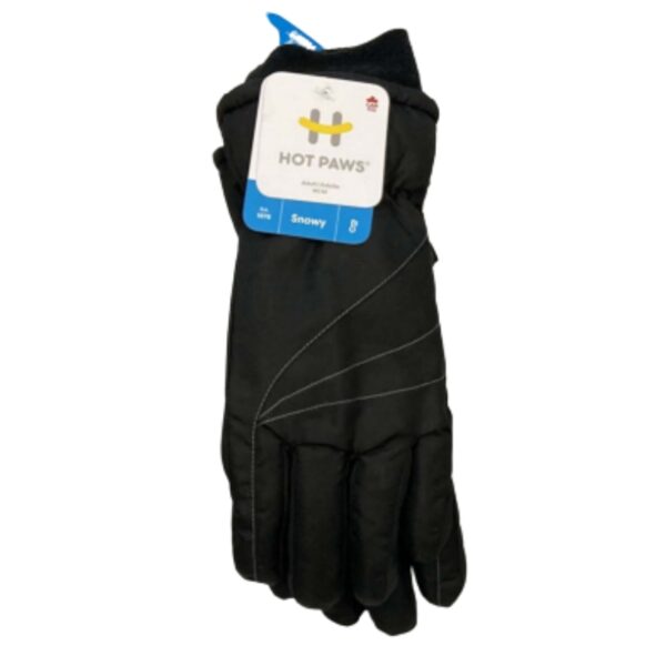 Wholesale Ladies’ Ski Glove with Design- Asst Colours (S-L)