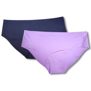 Wholesale Ladies’ Bikini Brief Asst. Colours