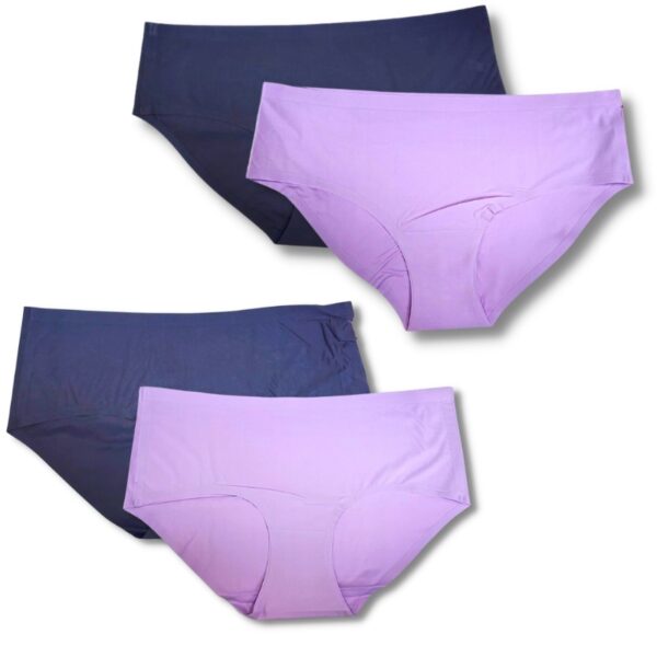 Wholesale Ladies’ Hipster & Bikini Brief Asst. Colours