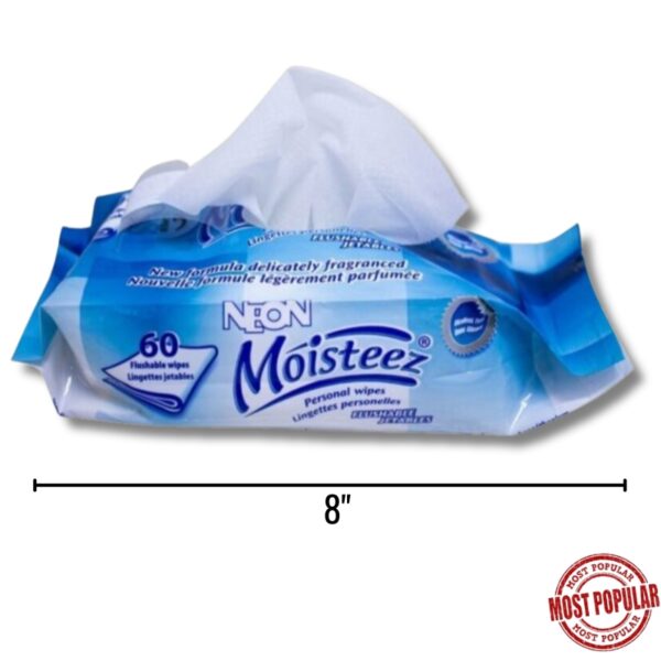 Wholesale Personal Flushable Wipes – 60-Pack ($0.06 Each)