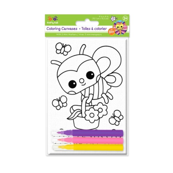 4 X 6 Canvas Kit with Markers - 2 Pc Packaging