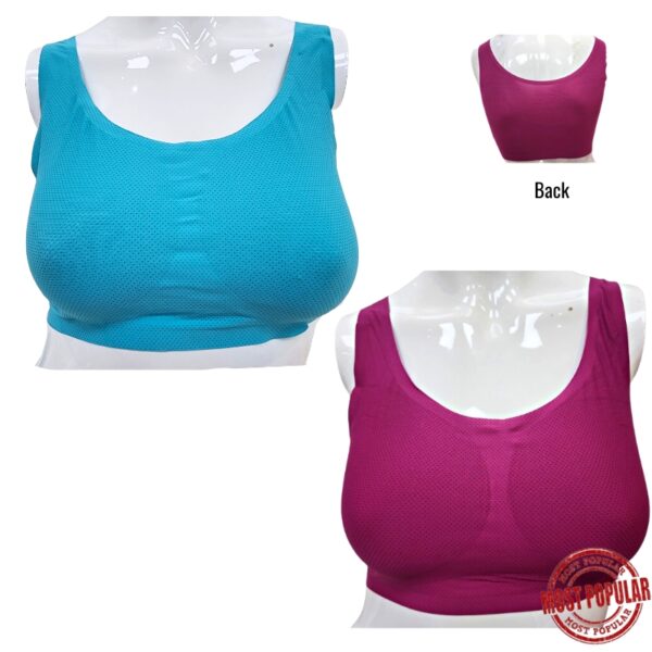 Wholesale Ladies Sport Bra- Asst Colours (Size S-XL)