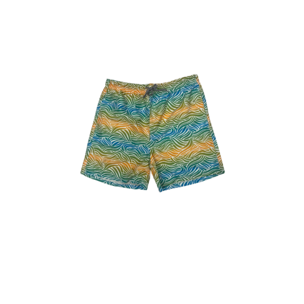 Wholesale Men's Lined Swim Shorts - Asst Colours and Prints (S–2XL) - Image 19