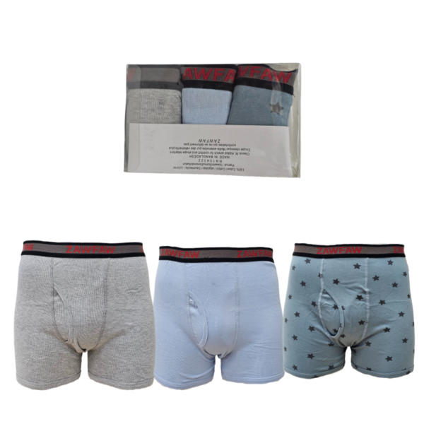 Wholesale Men’s Boxer Briefs, Asst Colours, 3-Pack (Size: S-2XL) ($3.00 each) - Image 3