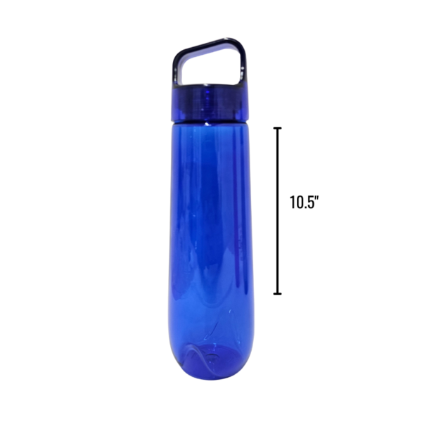 Wholesale Water Bottle -10.5" - Assorted Colours - Image 4
