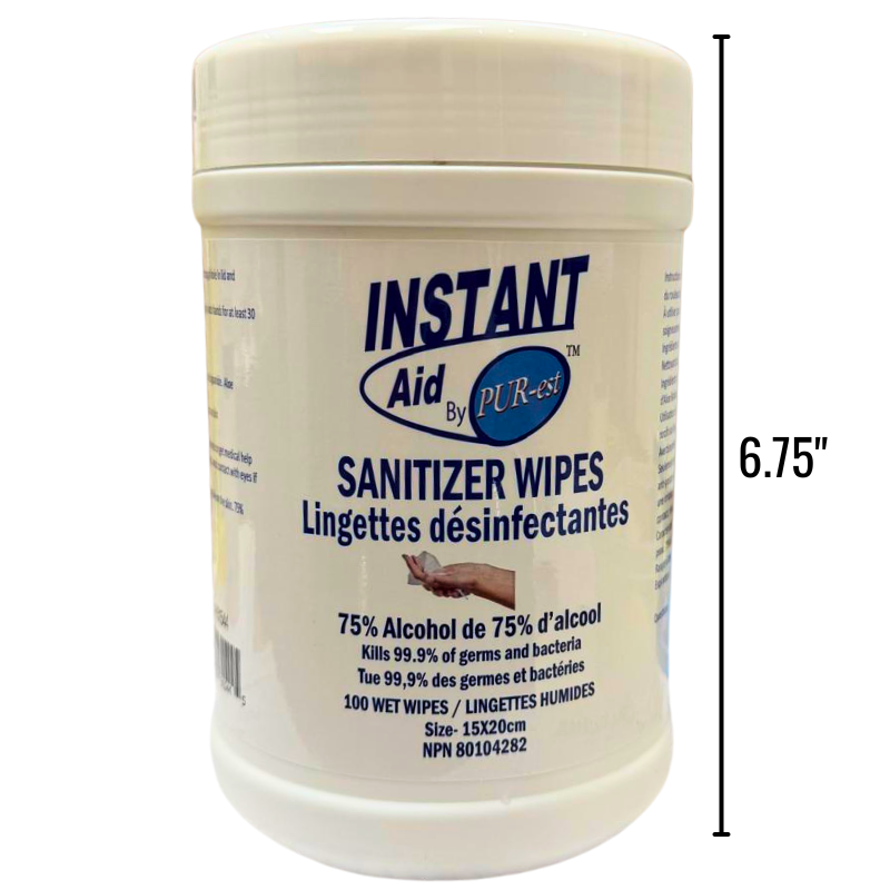 Wholesale Disinfectant Wipes - 100 Pack