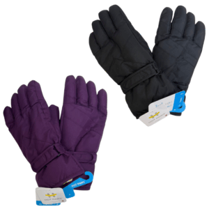 Wholesale Brand Name Ladies' Ski Glove (S-L) 2 Colours