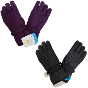 Wholesale Brand Name Ladies' Ski Glove (S-L) 2 Colours