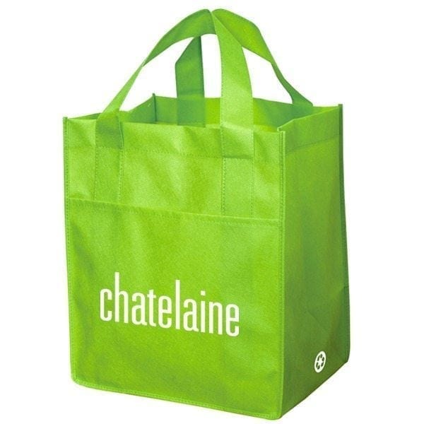 Non-Woven Durable Carry All Bag