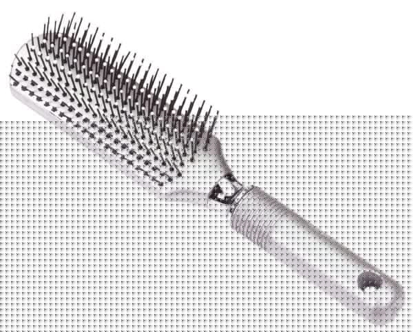 Hairbrush - Image 2