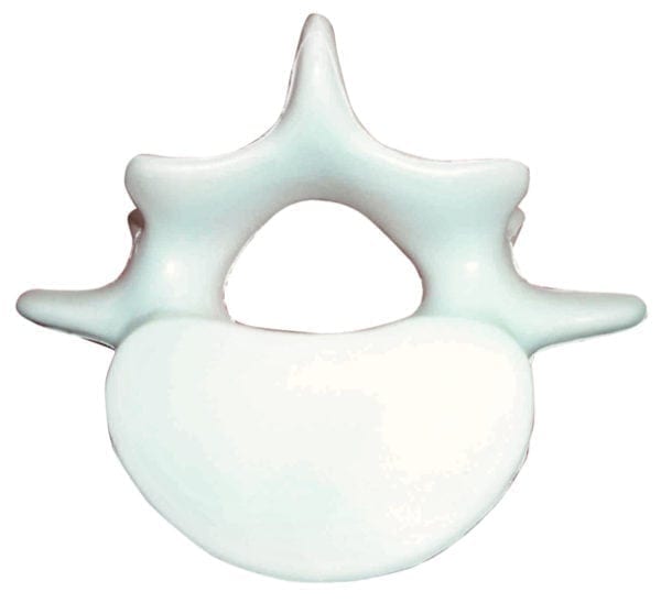 Stress Vertebrae