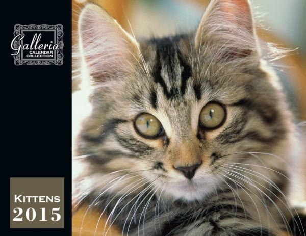 Custom Calendars - Image 2