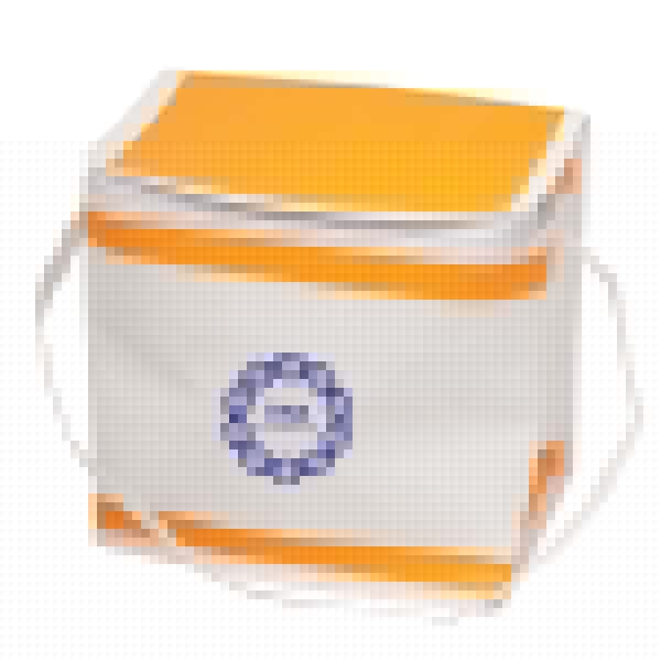 Custom Cooler Bag - Image 4