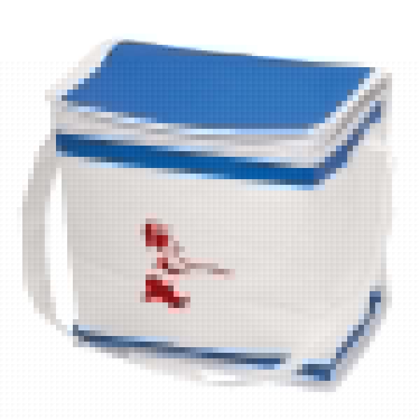 Custom Cooler Bag - Image 2