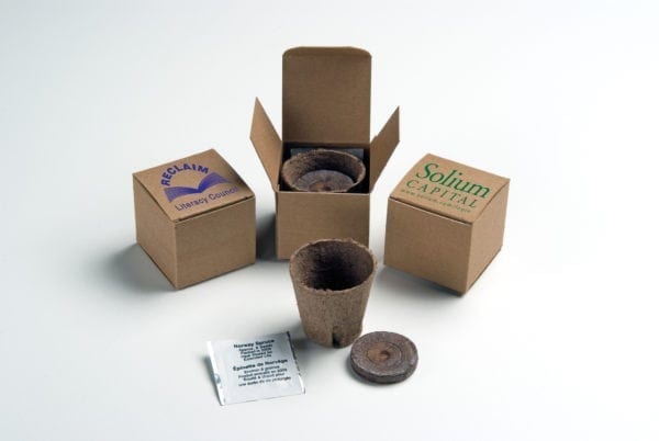 Tree in a Recycled Box Kit